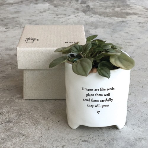 East of India Mini Planter - Dreams are like seeds East of India Mini Planter - Dreams are like seeds