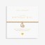 Joma A little Birthday Girl Bracelet Joma A little Birthday Girl Bracelet