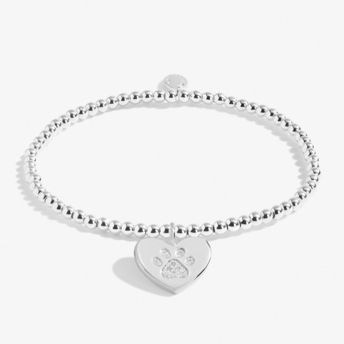 Joma A little Sorry for Your Loss (Pet) Bracelet Joma A little Sorry for Your Loss (Pet) Bracelet