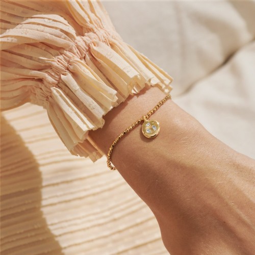 Joma Dolce Vita Collect Adventures Bracelet Joma Dolce Vita Collect Adventures Bracelet